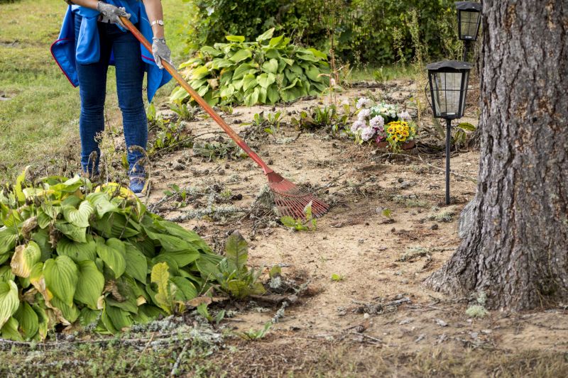 Brush Clearing Service in Houston, TX